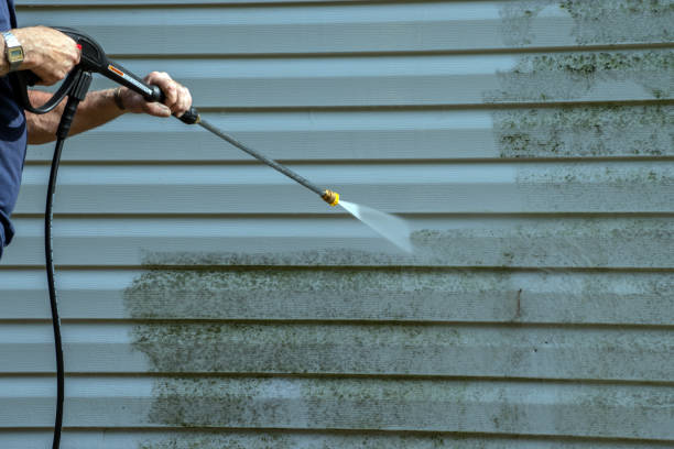 Best Fence Pressure Washing  in Patrick Af, FL
